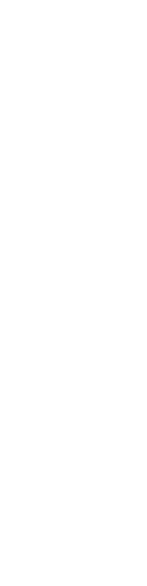 鳴門の特選串